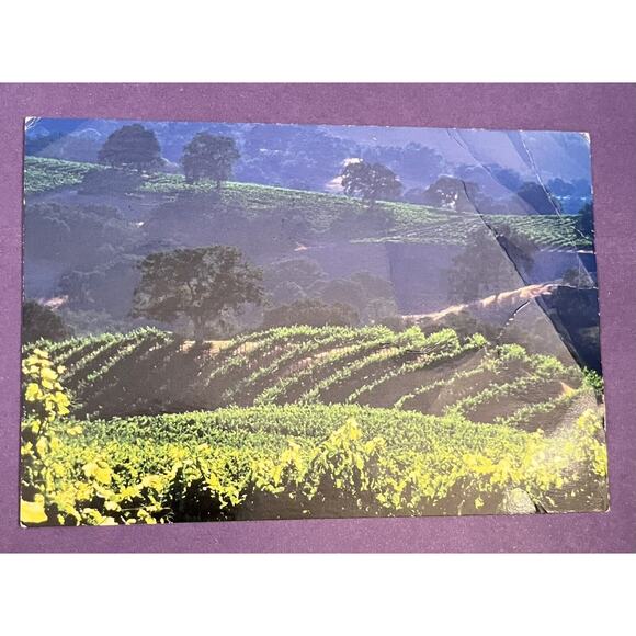 The Original Wine Country Gift Baskets Postcard Wine Vineyard Photo - Picture 1 of 2